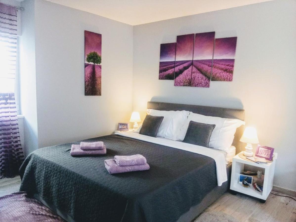 Elly Apartments 斯普利特 外观 照片