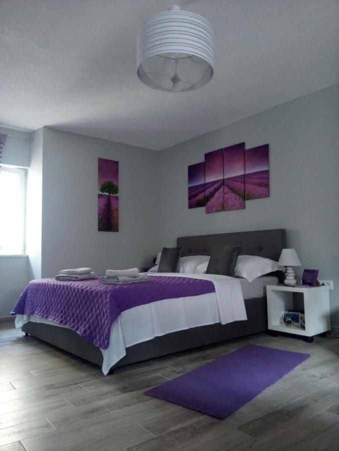 Elly Apartments 斯普利特 外观 照片